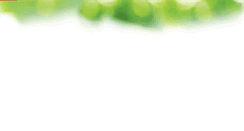 Desktop Screenshot of embutidoscorona.com.mx